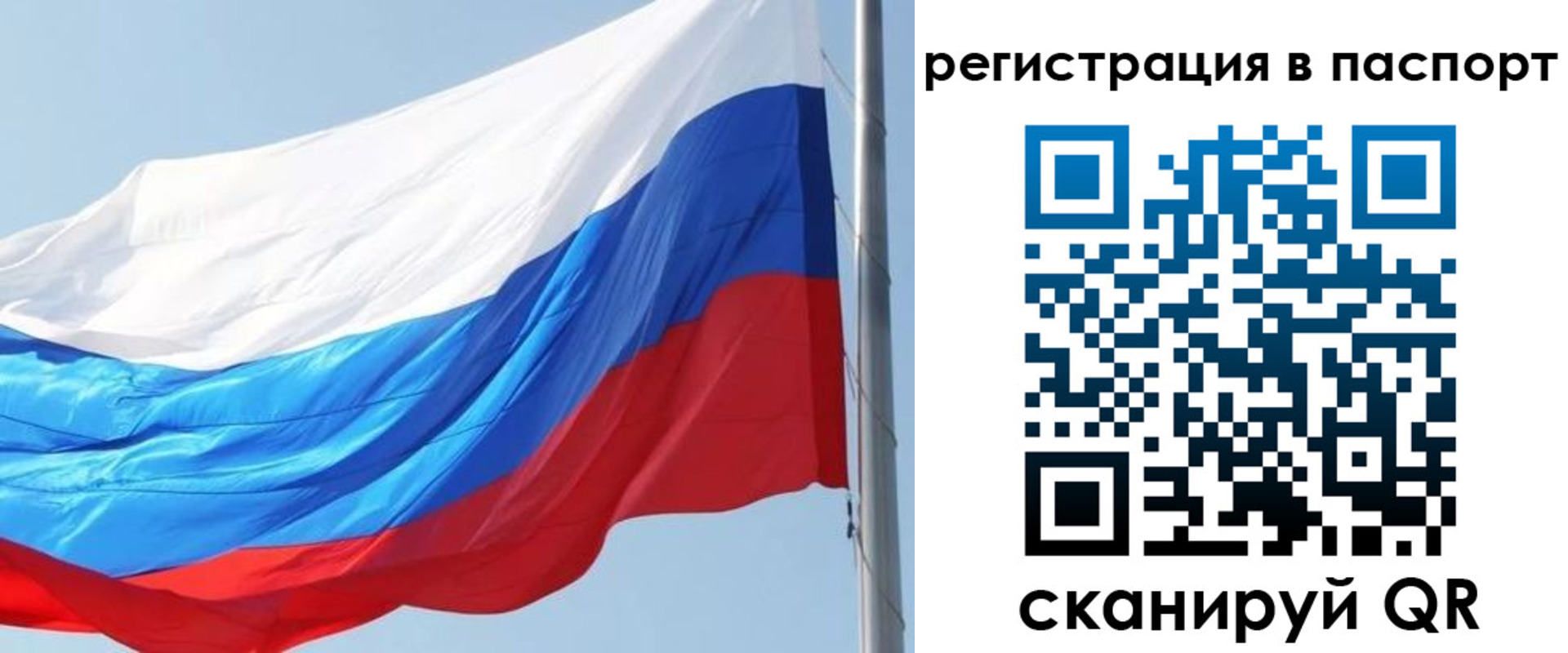 прописка законно в Холмске